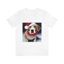 Load image into Gallery viewer, Joy to the world