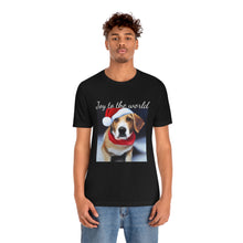 Load image into Gallery viewer, Joy to the world
