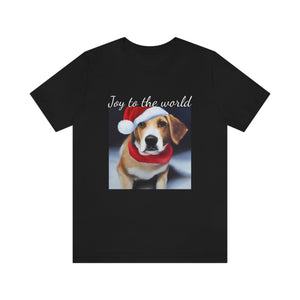 Joy to the world