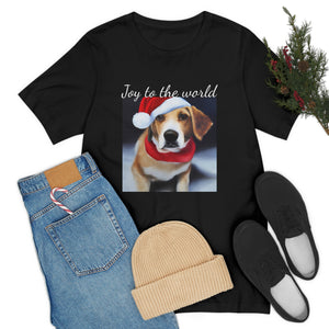 Joy to the world